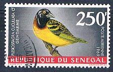 Buy Senegal C55 Used Bird Village Weaver ll 1969 CV 1.75 (S0820)+
