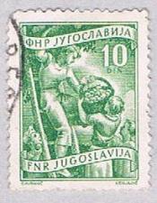 Buy Yugoslavia 382 Used Fruit growing 1953 (BP28217)