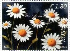 Buy Kosovo Stamps 2025. Healing and aromatic Flora, Flowers. Single definitive. MNH Buy Kosovo Stamps 2025. Healing and aromatic Flora, Flowers. Single definitive. MNH