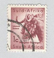 Buy South Africa Wilderbeast Used (BP94512)