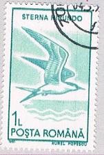 Buy Romania Tern 1 (AP107209)