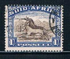 Buy South Africa 62h Used Gnu (S0484)