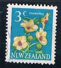 Buy New Zealand Flowers (NP29R803)