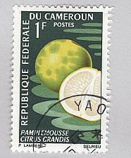 Buy Cameroun 460 Grapefruit Used (BP93818)