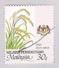 Buy Malaysia Wilayah Persekutuan 7 Used Padi Flower (BP24919)