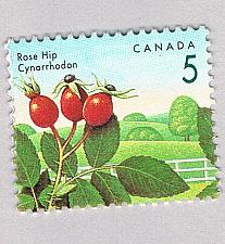 Buy Canada 1352 MLH Rose Hip flower 1991 (BP85934)