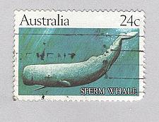 Buy Australia Used Sperm whale blue 24 (BP90619)
