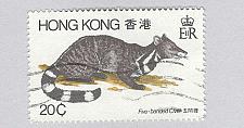 Buy Hong Kong 5 banded civet animal Used (BP93309)