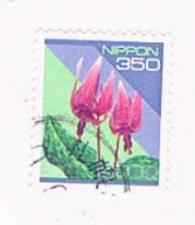 Buy Japan Used 2166 Adders tongue lily CV 3.00 (JP0139)+