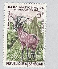 Buy Senegal 195 Roan Antelope Used 1 (BP95422)