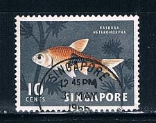 Buy Singapore 57 Used Tropical Fish (S0272)