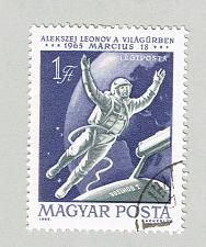 Buy Hungary Used Space purple one (BP88012)