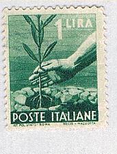 Buy Italy Planting green 1l (AP129142)