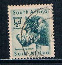 Buy South Africa 200 Used Wart Hog (S0465)