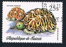 Buy Guinea C136 Used Sea Turtle 1977 CV 1.60 (BP36614)