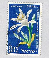 Buy Israel Used White Flowers (BP74312)