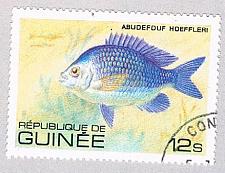 Buy Guinea 805 Used Fish 1980 (BP47801)