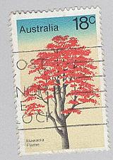 Buy Australia Used Red tree yellow 18 (BP88925)