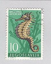 Buy Yugoslavia 452 Sea Horse Used 1 (BP94907)