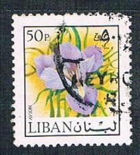 Buy Lebanon C663 Used Iris (BP1922)