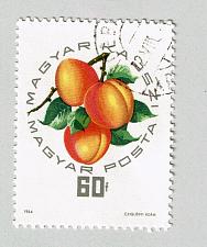 Buy Hungary Used Peaches yellow 60 (BP88009)