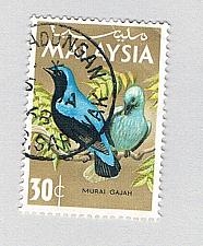 Buy Malaysia 21 Used Bluebird 1 1965 (BP80211)