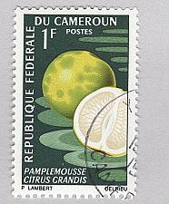 Buy Cameroun 460 Grapefruit Used (BP93817)