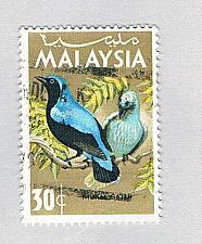 Buy Malaysia 21 Used Bluebird 1965 (BP80210)