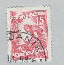 Buy Yugoslavia 384 Gathering Sunflowers Used 2 (BP95205)