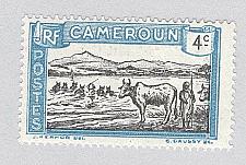 Buy Cameroun 172 Cattle Crossing MLH (BP93218)
