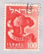 Buy Israel Tree 100 (AP101631)