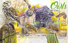 Buy Malawi 2022 Sheet Little Owl wildlife bird 2 values (TS0174)