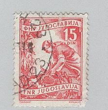 Buy Yugoslavia 384 Gathering Sunflowers Used 3 (BP95206)