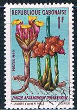 Buy Gabon 244 Used African plant lr 1969 (G0314)+