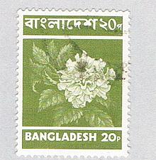 Buy Bangladesh 97 Used Rakta jaba flower 1976 CV 1.75 (BP77705)