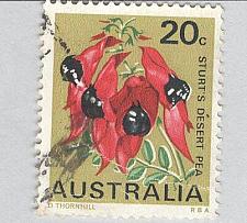 Buy Australia Flower Stewart's desert pea green 20 Used (BP90315)