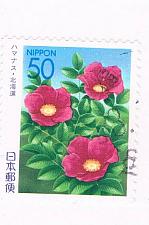 Buy Japan Prefecture Used Z664 Flowers CV .65 (JZ408)+