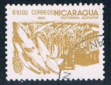 Buy Nicaragua Banana 10 (NP7R503)
