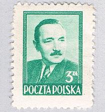 Buy Poland Man green 3za (AP134918)