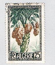Buy Algeria 230 Used Dates 1 1950 CV 1.25 (BP76414)