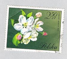 Buy Poland Flower green 250za 1 (AP134809)