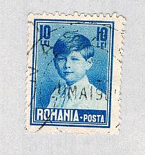 Buy Romania Boy green 10l (AP134616)