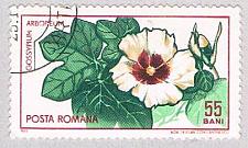 Buy Romania Flower 55 (AP114403)