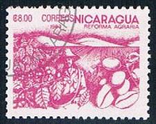 Buy Nicaragua Coffee 8 (NP7R401)