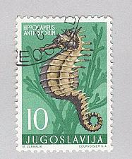 Buy Yugoslavia 452 Sea Horse Used 2 (BP94908)