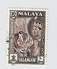 Buy Mayala Selangor 119 1961 Sulyan Aziz Used (BP89906)