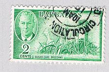 Buy Barbados 217 Used Sugar Cane 1950 CV 3.25 (BP63906)
