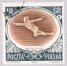 Buy Poland Fencing 10 (AP114817)