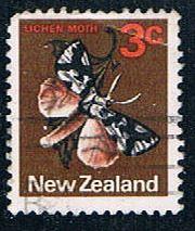 Buy New Zealand Flowers (NP29R701)