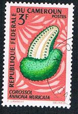 Buy Cameroun 462 Used Custard Apple (BP657)